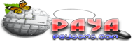 قدرت گرفته از سيستم پايا payacms.com